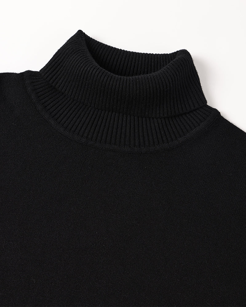 Bregenz Merino Wool Turtleneck