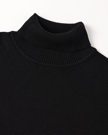 Bregenz Merino Wool Turtleneck